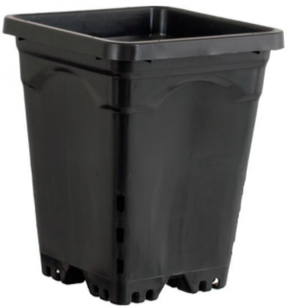 Active Aqua 7" x 7" Square Black Pot, 9" Tall