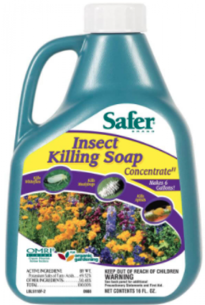 Safer Insect Killing Soap Concentrate, 16 oz