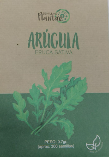 Semillas Arúgula