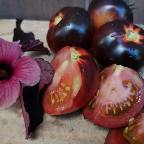 Semillas Tomate Belleza Negra