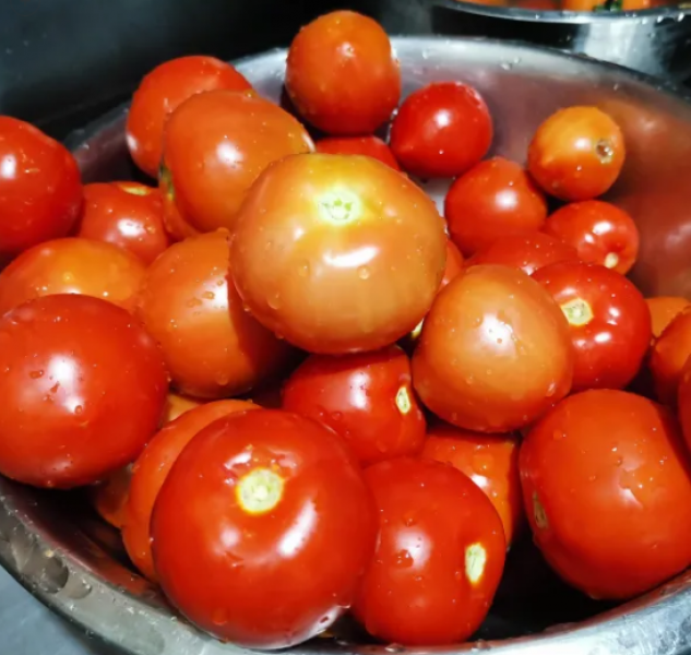 Semillas Tomate Valle del Sebaco