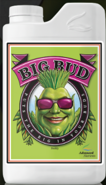 AN Big Bud Coco, 1 lt