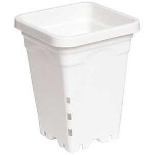 Active Aqua 5" x 5" Square White Pot, 7" Tall