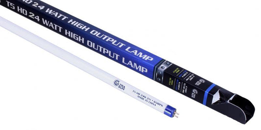Ultra Sun T5 24 Watt HO Lamp 2 ft Blue 6500K
