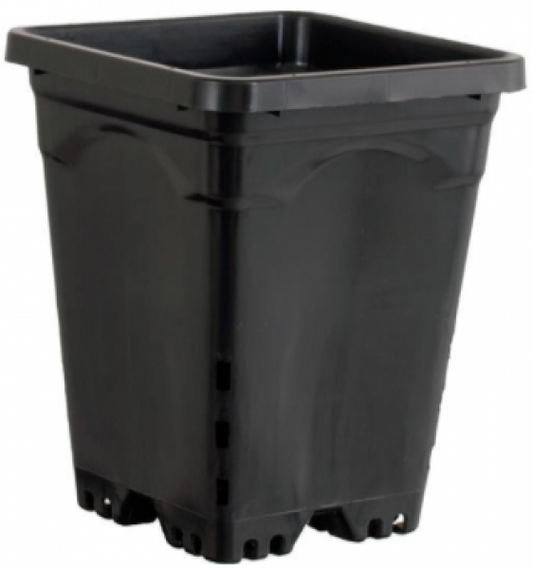 Active Aqua 7" x 7" Square Black Pot, 9" Tall