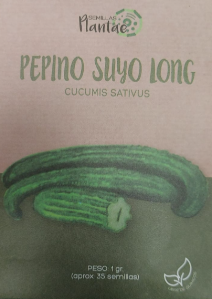 Semillas Pepino Suyo Long