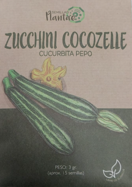 Semillas Zucchini Cocozelle