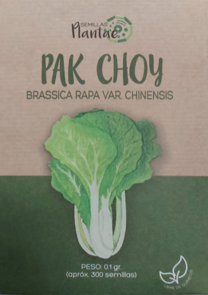 Semillas Pak Choy