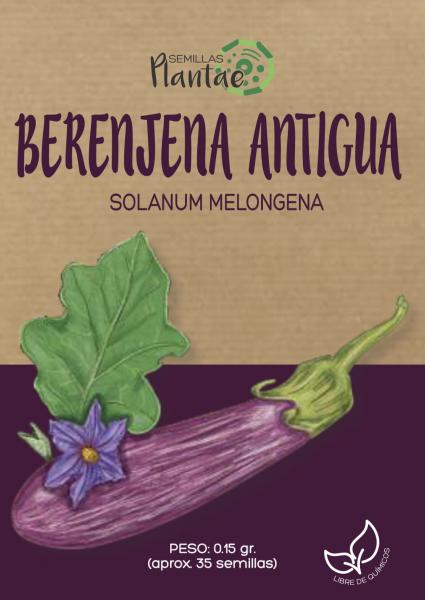 Semillas Berenjena Antigua