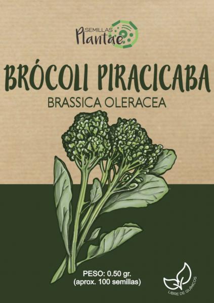 Semillas Brócoli Piracicaba