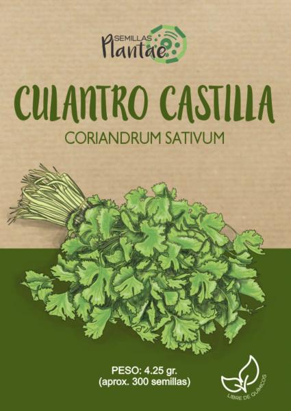 Semillas Culantro Castilla
