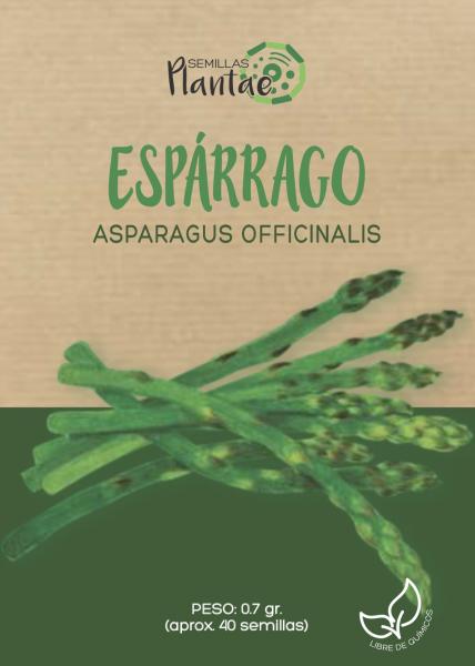 Semillas Espárrago
