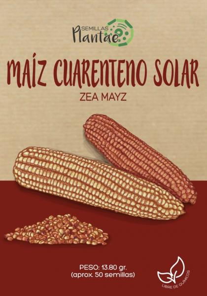 Semillas Maíz Cuarenteno Solar