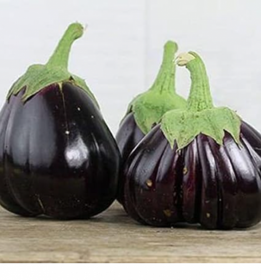 Semillas Berenjena Aswad