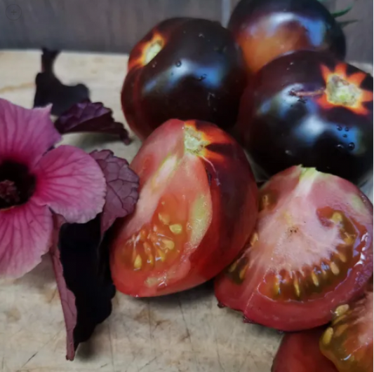 Semillas Tomate Belleza Negra