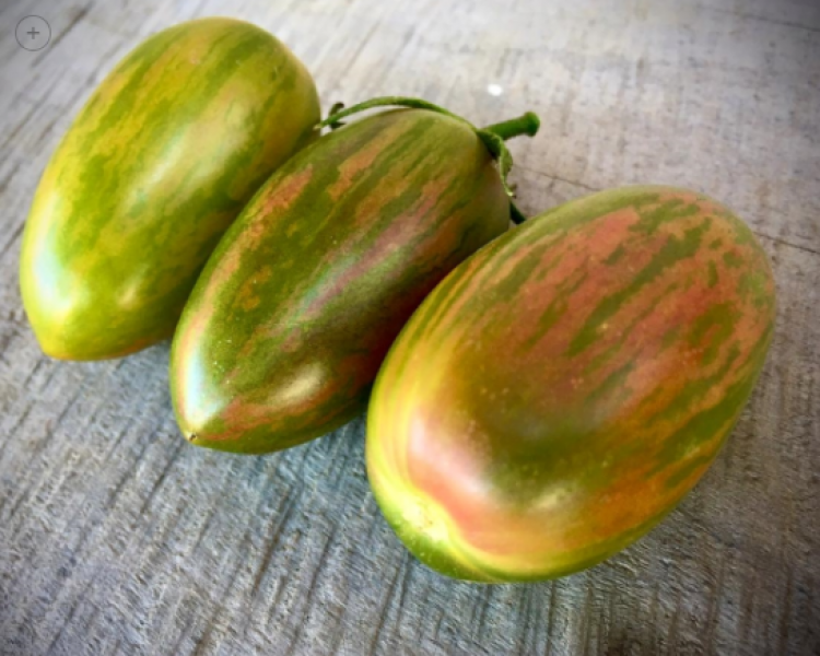 Semillas Tomate Tigre con Suerte
