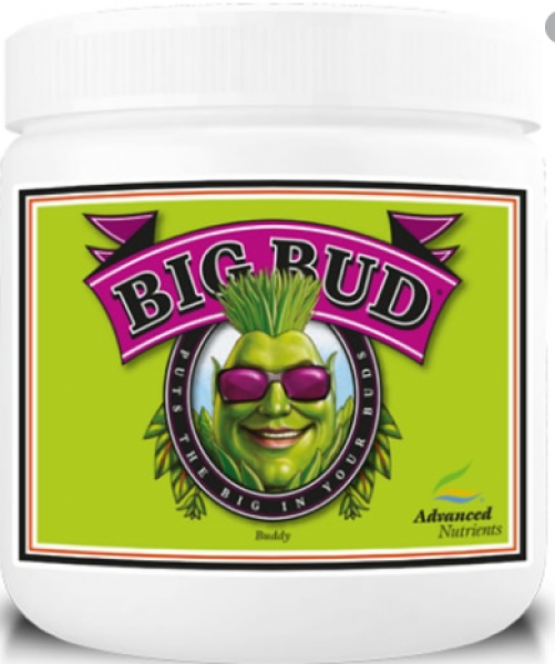 AN Big Bud Powder, 500 gm